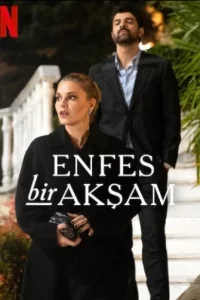 Восхитительный вечер